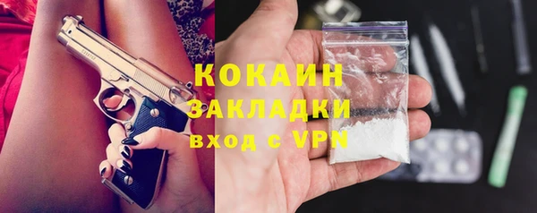 индика Алексеевка