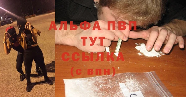 индика Алексеевка