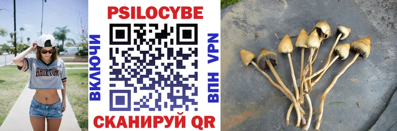 Галлюциногенные грибы прущие грибы  Минусинск 