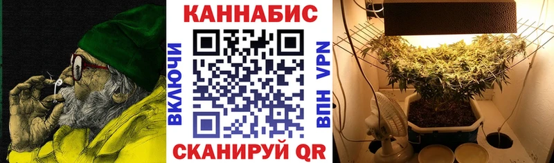 наркотики  Минусинск  Конопля планчик 